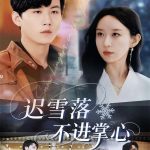 迟雪落不进掌心